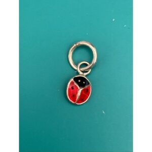 .925 Ladybug Sterling Silver Jewelry Charm #bugs #garden #ladybug